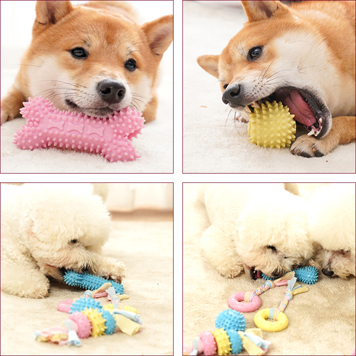 Puppy dog toy anti-boredom artifact teething stick puppy teddy koji small dog pet gum ball