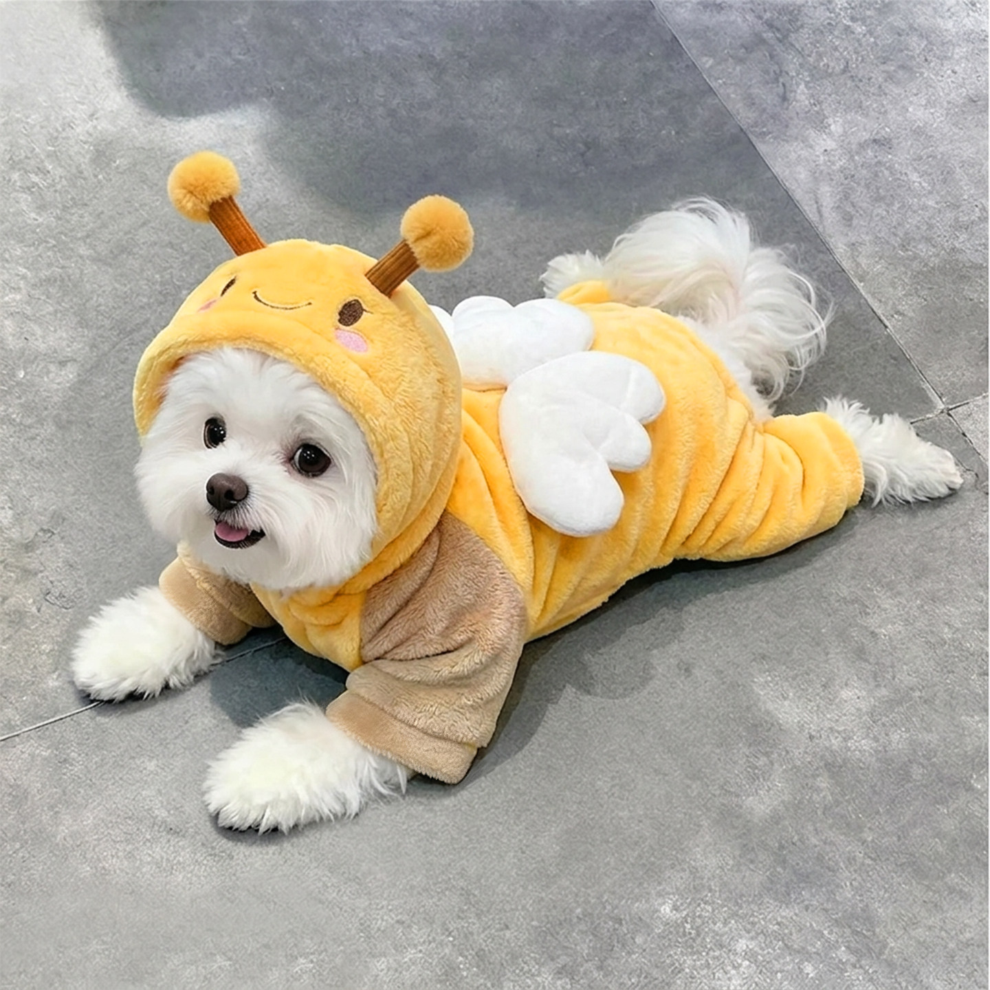 狗狗衣服可牵引蜜蜂装秋冬季加厚保暖泰迪比熊幼犬宠物猫咪四脚衣