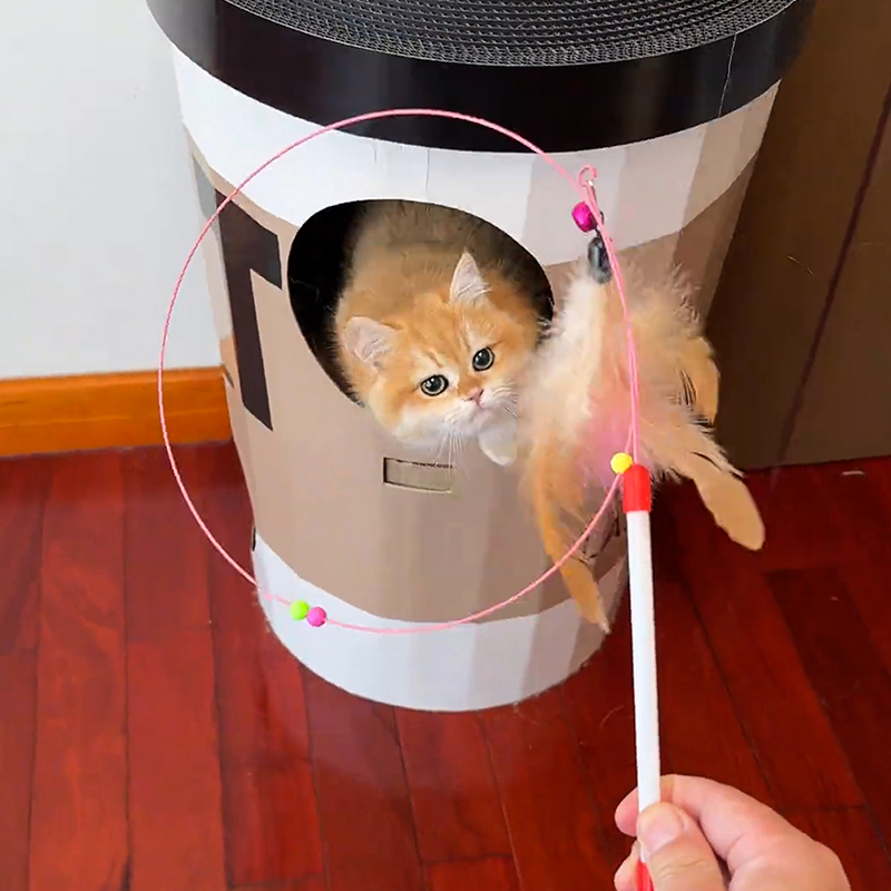猫玩具钢丝长杆逗猫棒带铃铛羽毛