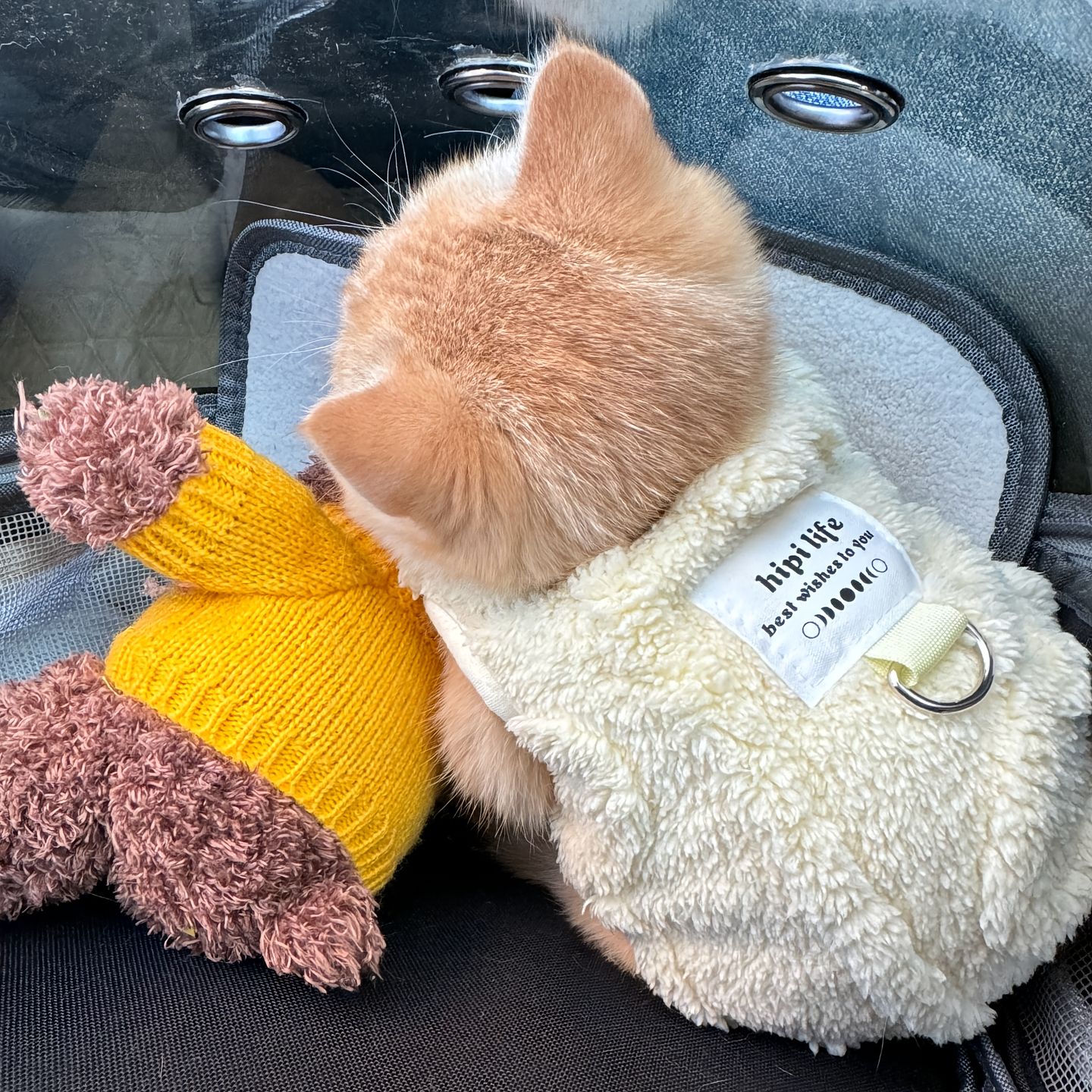 猫咪衣服秋冬款保暖马甲防掉毛