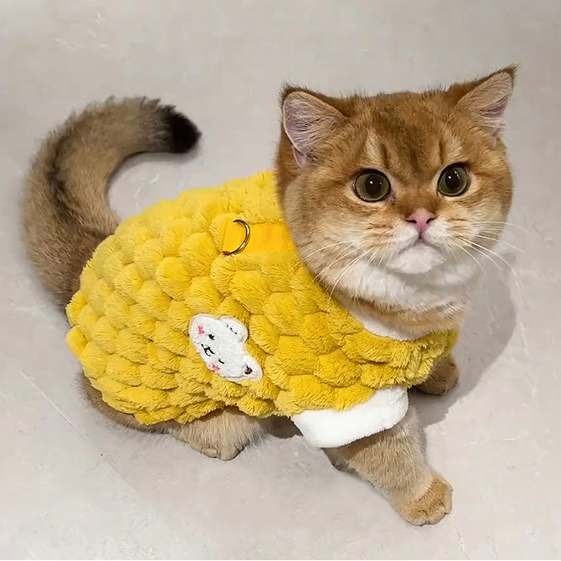 猫咪衣服秋冬款保暖马甲防掉毛金渐层布偶小猫宠物狗狗带牵引背心