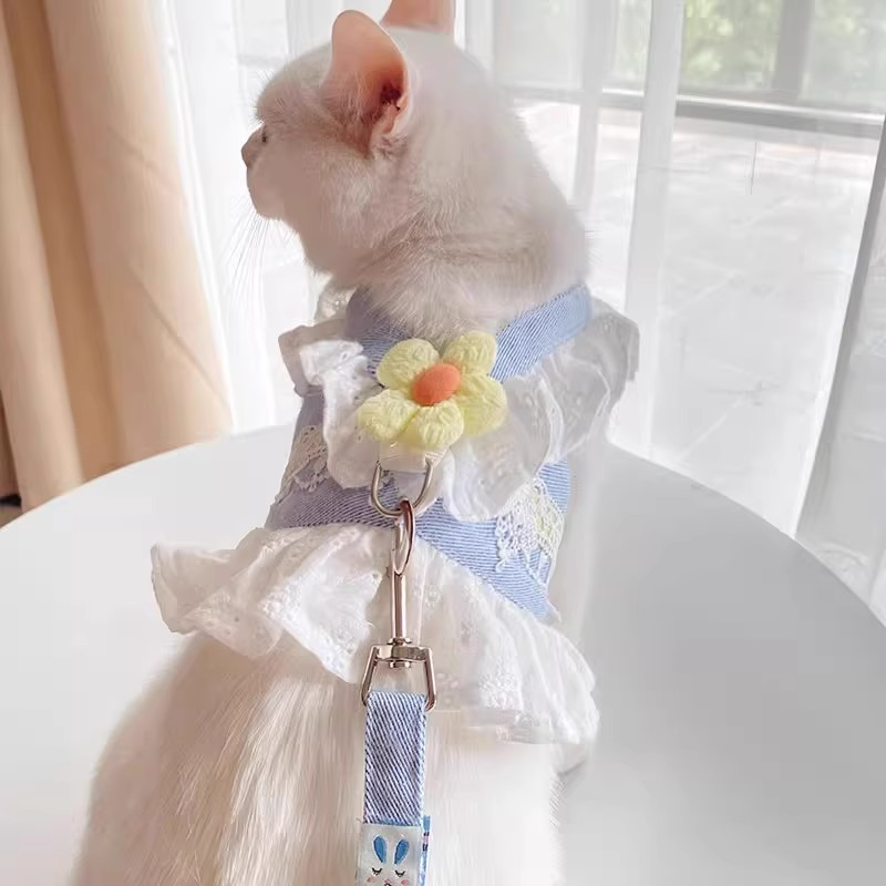 猫咪牵引绳外出溜猫防挣脱胸背带