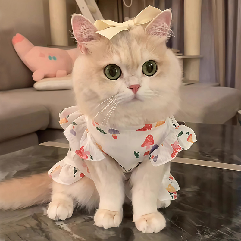 猫咪衣服夏季薄款网纱飞袖裙