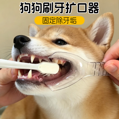 狗狗刷牙辅助固定器口腔牙垢清洁