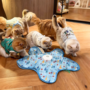 电动猫玩具捕猎罩自动转盘羽毛逗猫棒宠物游戏罩猫咪互动自嗨解闷