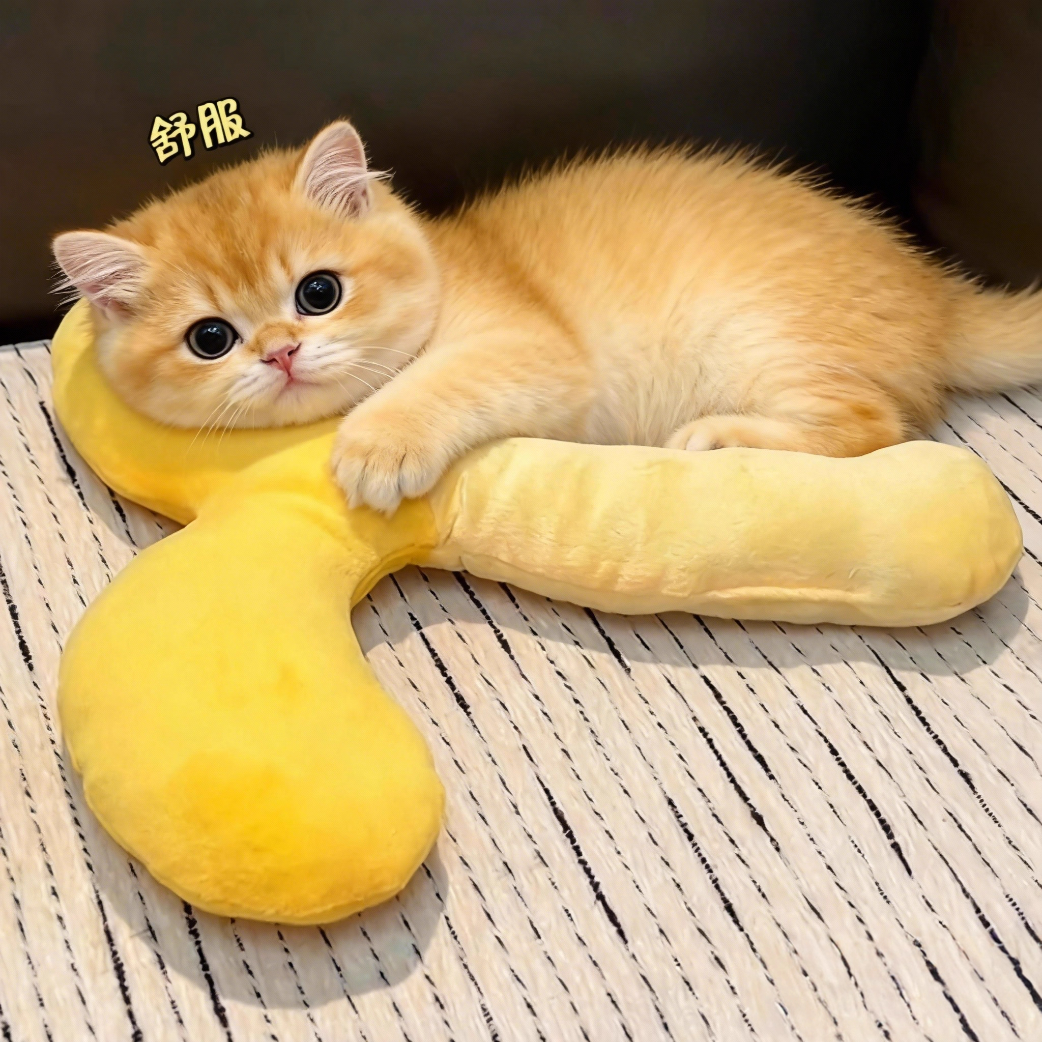 猫咪小枕头宠物垫子颈枕睡觉用