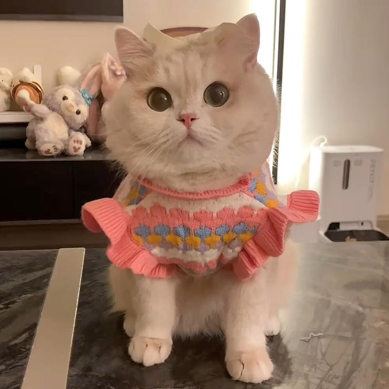 猫咪衣服冬季保暖可爱小花针织衫