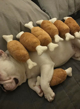 狗狗玩具毛绒不耐咬幼犬磨牙发声泰迪法斗柯基柴犬雪纳瑞宠物解闷