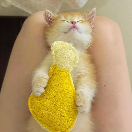 猫咪磨牙玩具逗猫棒幼猫啃咬洁齿丝瓜络宠物小猫玩具自嗨解闷神器