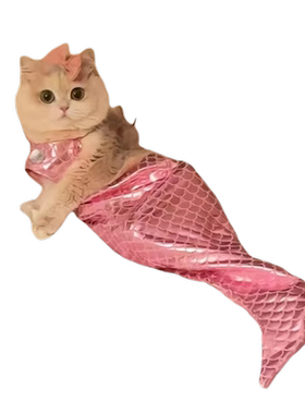 猫咪衣服美人鱼服饰宠物小猫搞怪