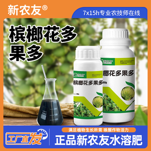 【槟榔花多果多】催花授粉挂果率高果实增大为槟榔提供全营养