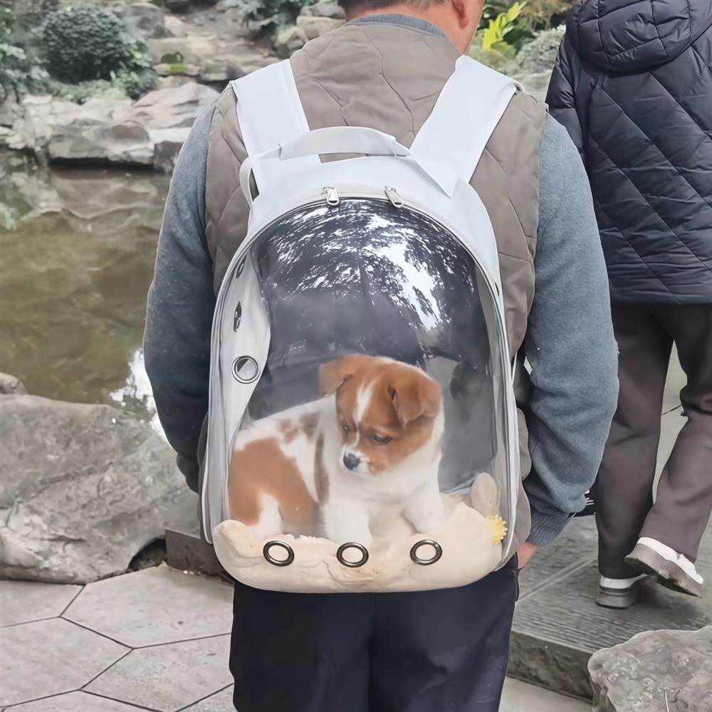 幼犬猫咪透明太空舱包外带包狗狗背包宠物小型犬外出便携式双肩包