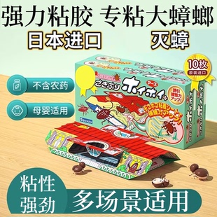 蟑螂屋贴强力粘小强屋蟑螂药一窝端扫尽家用非无毒全窝端餐厅杀虫