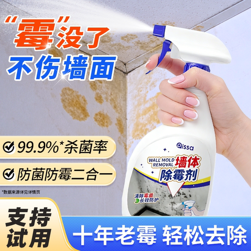 【阴雨天克星】墙体除霉神器