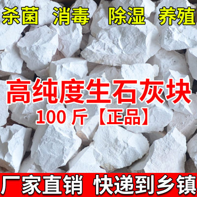 100斤生石灰块鱼塘消毒养殖场杀菌土地改良刷树驱虫吸潮50斤石灰