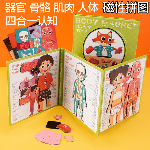 人体结构模型拼图玩具