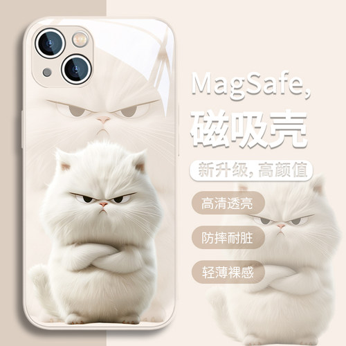 适用苹果可爱猫咪卡通磁吸手机壳