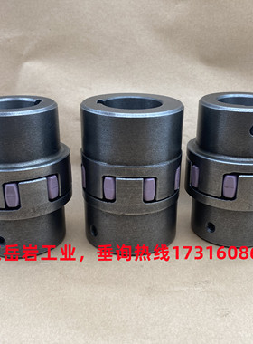 KTR ROTEX38/42/48/55/65/75/90/100/100铸铁ENGJL250联轴器对轮