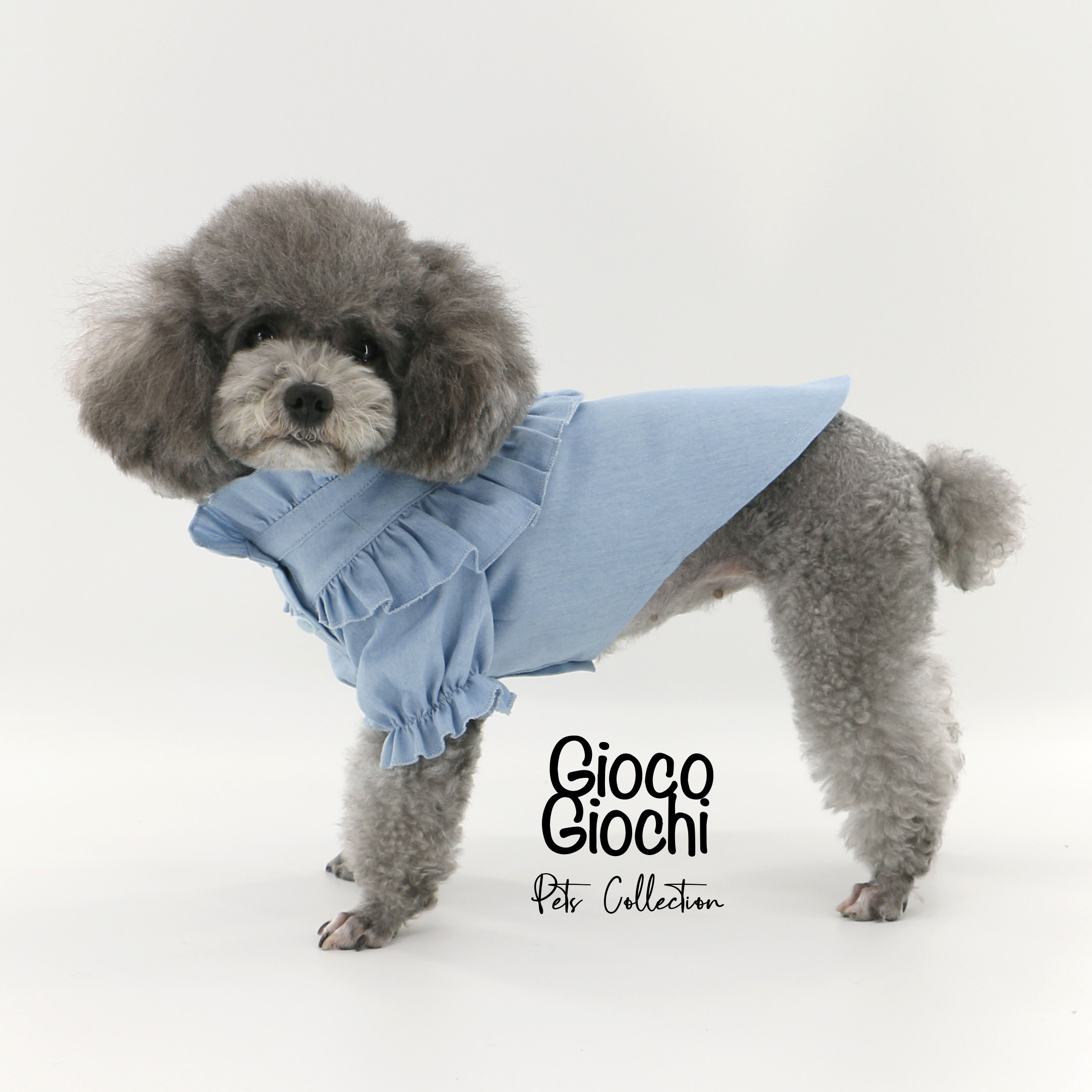 GiocoGiochi宠物原创春秋薄款纯棉可爱花边衬衫泰迪狗生日礼服,宠物/宠物食品及用品,狗宠物服装/雨衣,淘宝优惠券,粉丝福利购,淘宝优惠卷