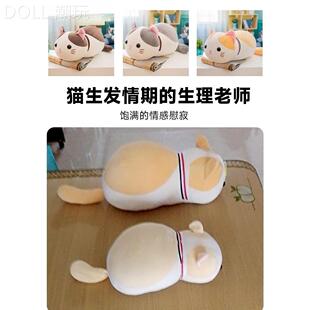公猫性交配玩偶玩具解闷自宠物伴侣猫咪泻火陪嗨发情期交配睡包邮