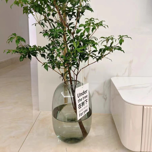 大肚花瓶水养落地透明花器摆件