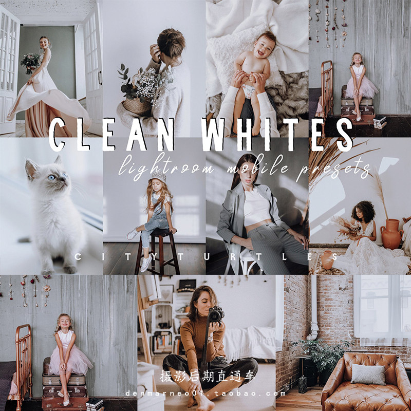 莫兰迪色调 干净灰白色室内静物人像胶片 手机版电脑lr预设滤镜ps