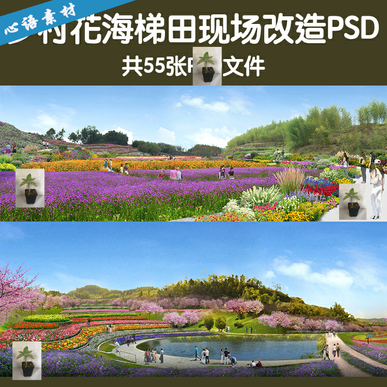 美丽乡村花海花田psd效果图花境花卉植物ps素材新农村提升改造p图