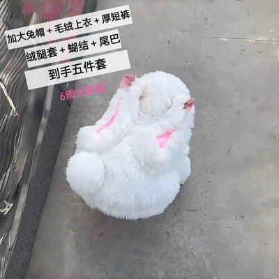 可爱！！加厚保暖到手五件套