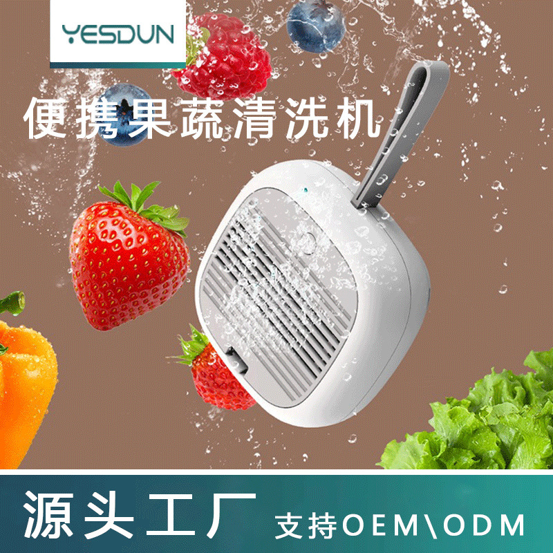新款家用便携式智能果蔬净化器无线去农残清洗食材果蔬消毒机