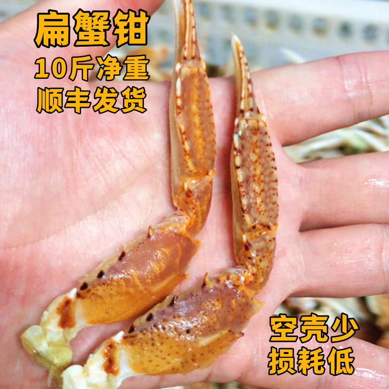新鲜冷冻蟹蟹钳 商用扁蟹梭子蟹脚蟹腿10斤/件 工厂直发 顺丰发货
