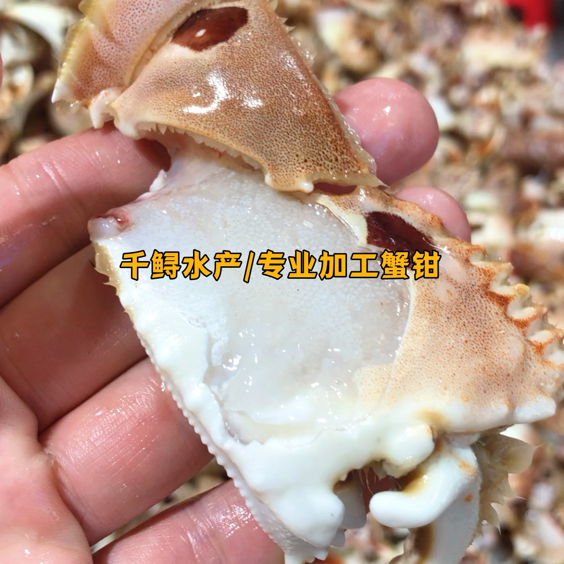 【商用特价20斤】新鲜元宝蟹脚面包蟹钳冷冻水产馒头冻蟹顺丰发货图片