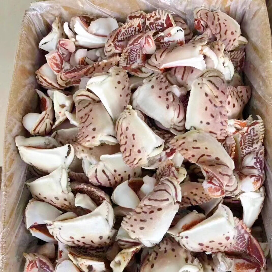 【20斤-净重16斤】新鲜冷冻虎纹蟹钳 元宝蟹脚面包蟹蟹脚拌粉食材