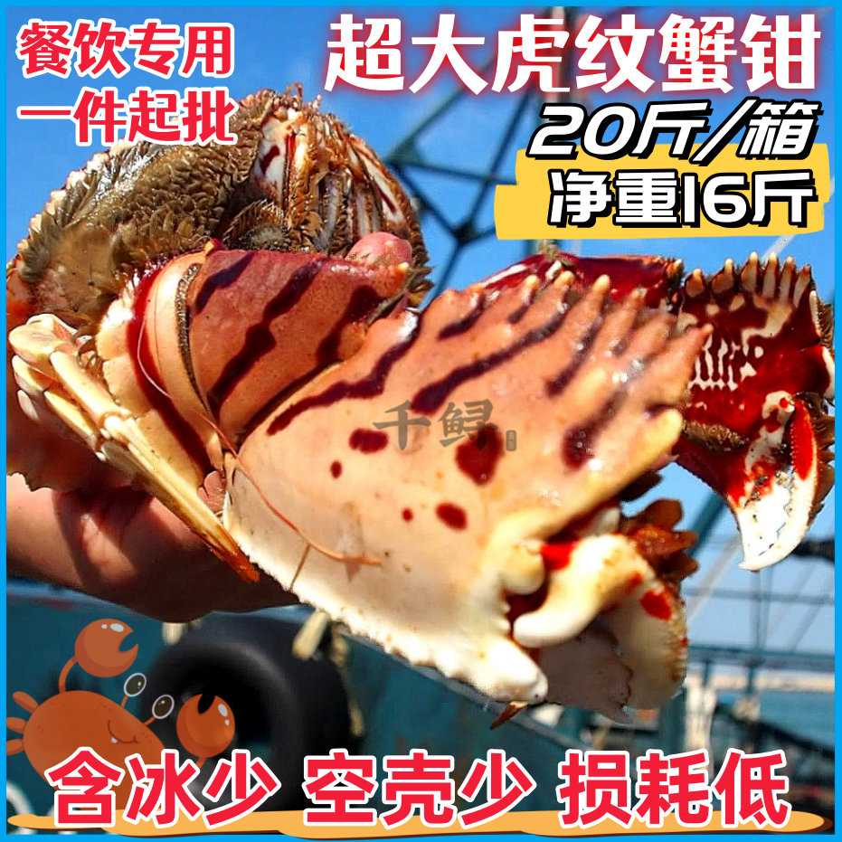 【20斤-净重16斤】超大虎纹蟹钳披发 虎斑元宝蟹脚蟹腿 工厂直供