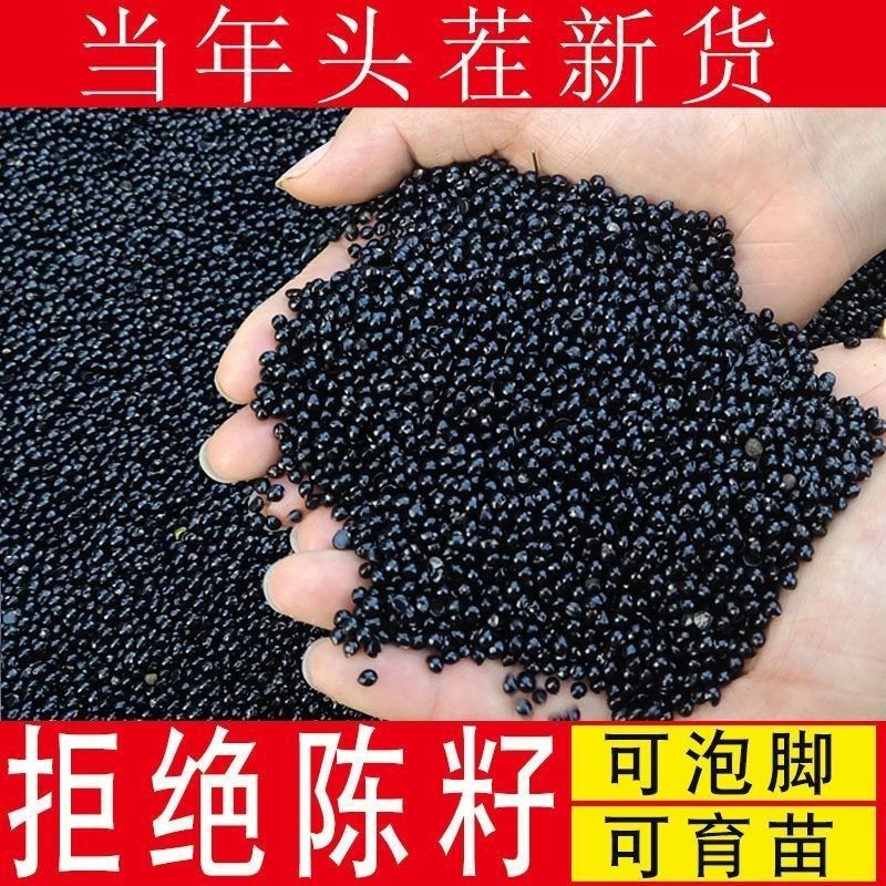 花椒籽新鲜晒干麻椒种子野生驱虫榨油鸡鸟饲料泡脚洗澡纯天然包邮
