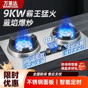 万菲达九腔猛火燃气灶双灶家用定时天然气液化气9KW火力嵌入式