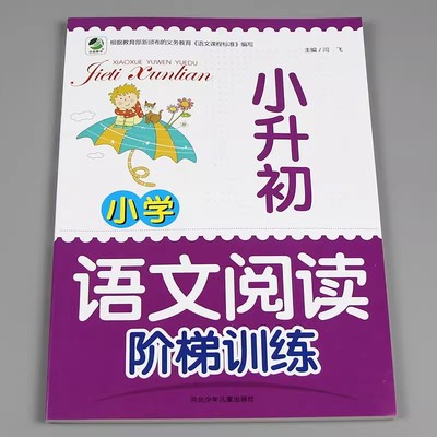 小升初语文阅读阶梯训练人教版