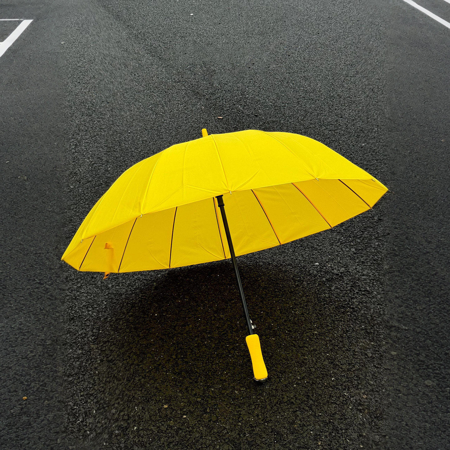 韩系小黄伞16骨长柄晴雨伞抗风