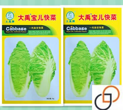 宝儿快菜种子春季夏秋小白菜种籽菜园简单大田青菜籽蔬菜种孑四季