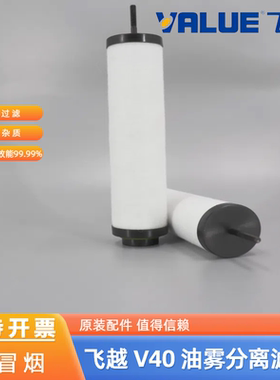适用飞越真空泵滤芯VSV40排气滤芯油雾分离器 VALUE原装品质VSV28
