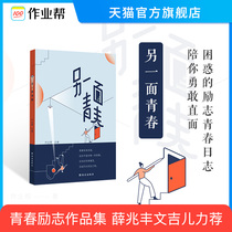 Homework helps youth inspirational literature on the other hand youth homework helps whose youth is not confused 21 stories face up to confusion youth literature growth inspirational urban campus novel Xue Zhaofeng, Wen Jill and other joint recommendations