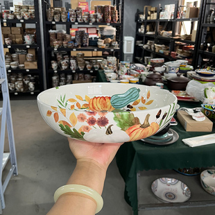 南瓜11英寸大盆和面盆12英寸加大加深酸菜鱼盆大号水果盆汤菜盆