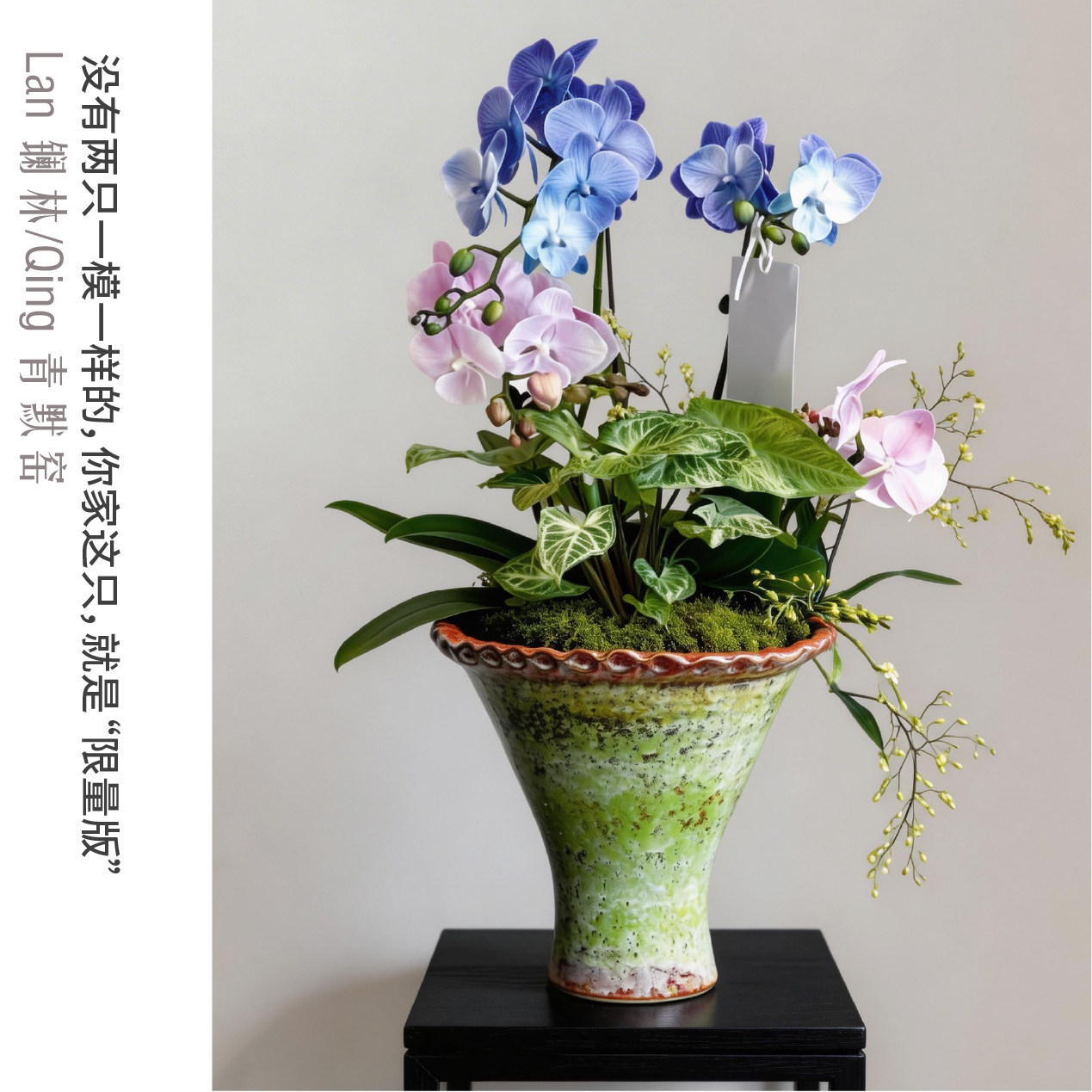 景德镇纯手工窑变釉陶瓷花盆花瓣口种蝴蝶兰微景观植物家用器茉奈