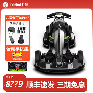 Ninebot九号电动卡丁车pro2赛车成人儿童成年四轮漂移改装车