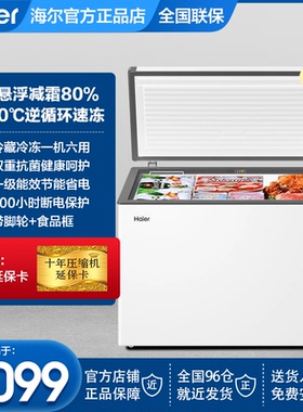 海尔300升300L家用两用冷冻小型冰箱冰柜大容量商用冷藏冷柜GHPD