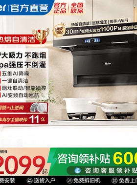 海尔变频抽排油烟机家用吸油机7字型30m³大吸力顶侧双吸EC739UD