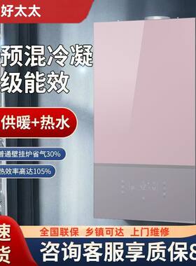 天然气家用恒温速热采暖炉
