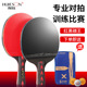 辉胜五星乒乓球拍2支装 双拍对拍专业训练直拍横拍红黑碳王5星球拍