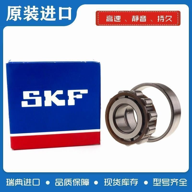 进口SKF轴承 N204 N205 N206 N207 N208 N209 N210 N211 N212 ECP