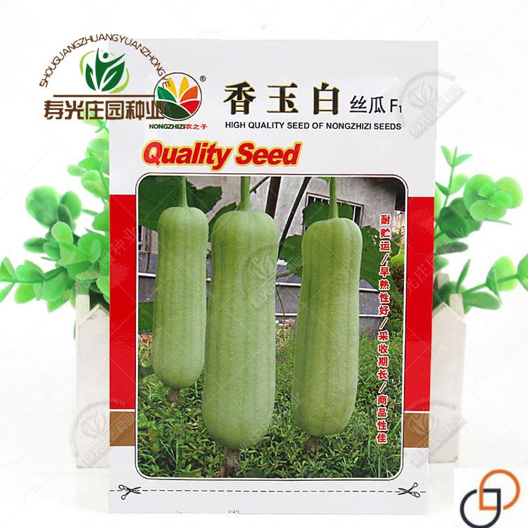 香玉白丝瓜种子种籽肉丝瓜苗秧南方孑短棒春季高产阳台四季蔬菜种