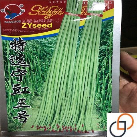 特长豆角种籽宁豇三号豇豆种子一点红农家春秋架豆种籽压塌架50克
